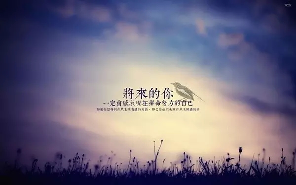 河南云和數(shù)據(jù)信息技術(shù)有限公司java培訓(xùn)班